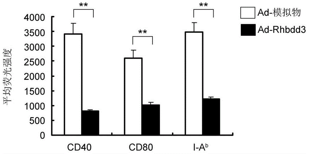 Anti-inflammation effect and application of immuno-regulatory molecule Rhbdd3