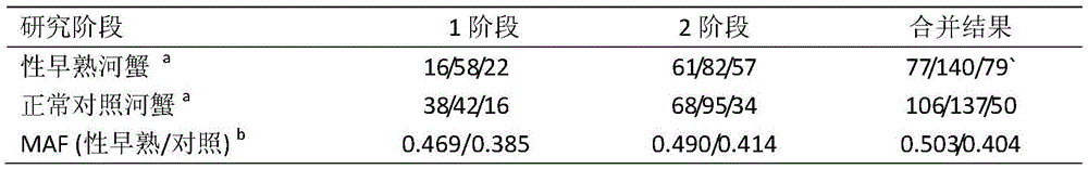 A SNP marker related to sexual precocity in mitten crab sinensis and its application