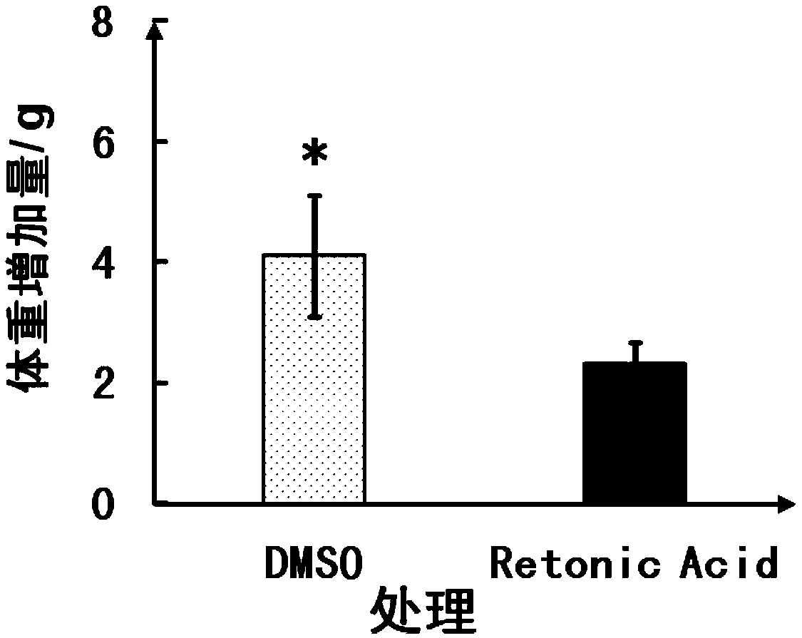 Application of retinoic acid to regulation and control for growth and development of lasiopodomys brandtii