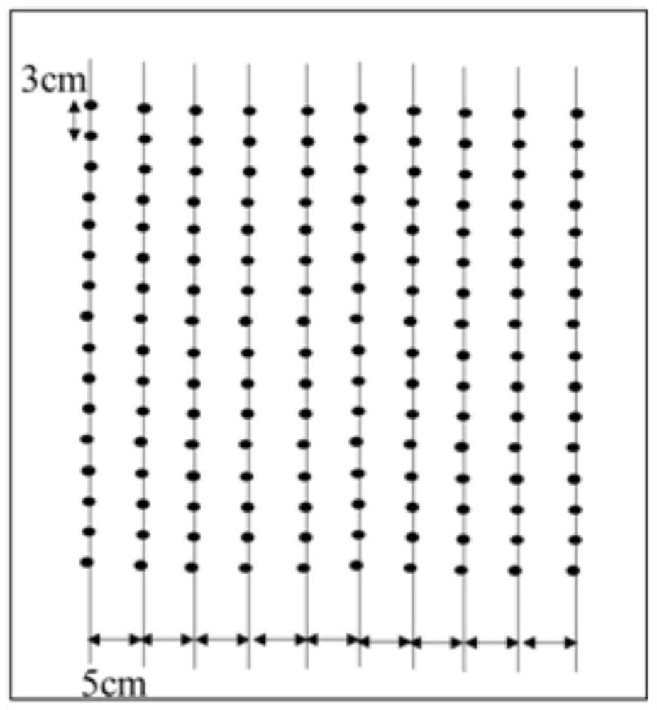 Huang-Huai-Hai winter wheat single-grain uniform sowing cultivation method