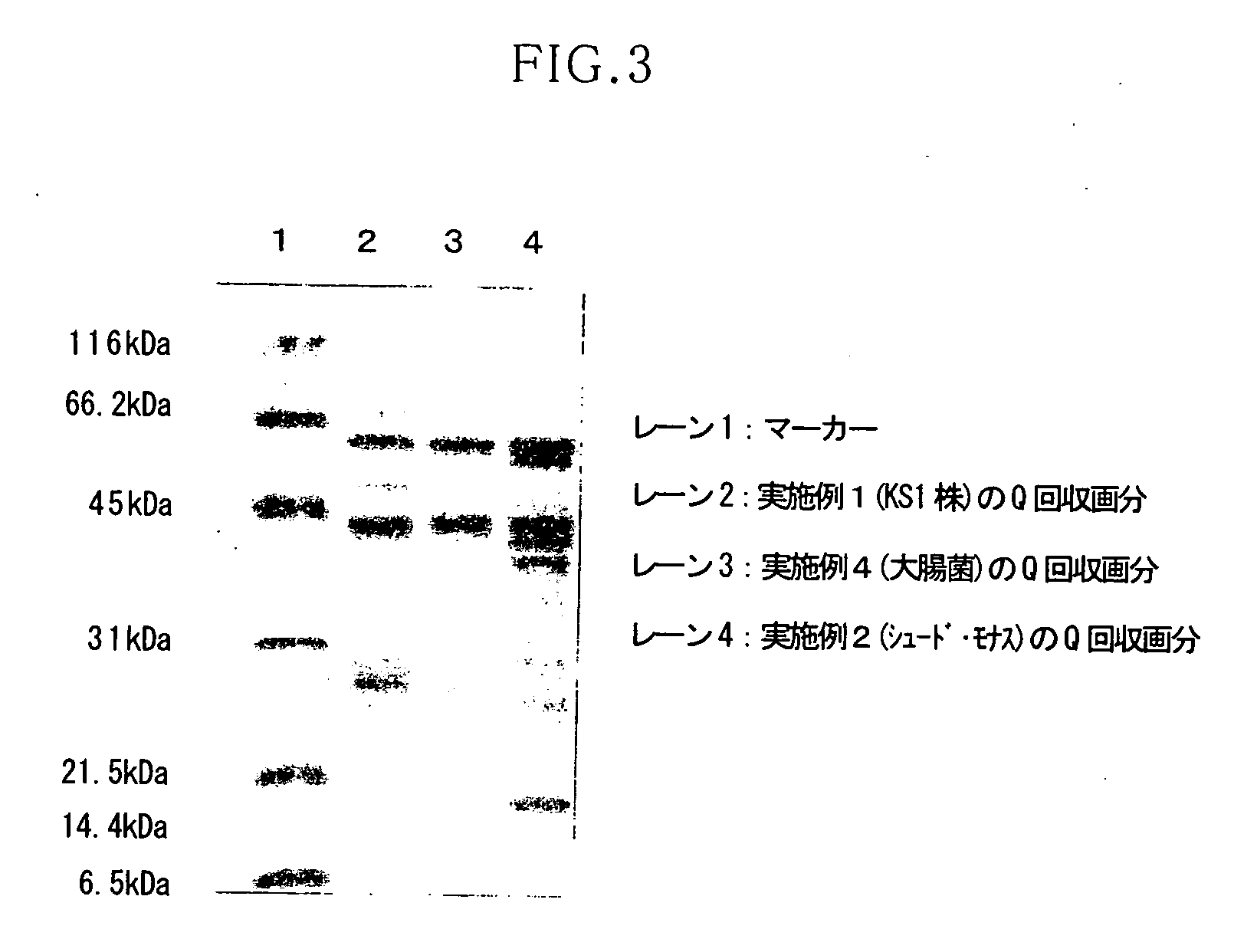 Method for purifying protein and glucose dehydrogenase