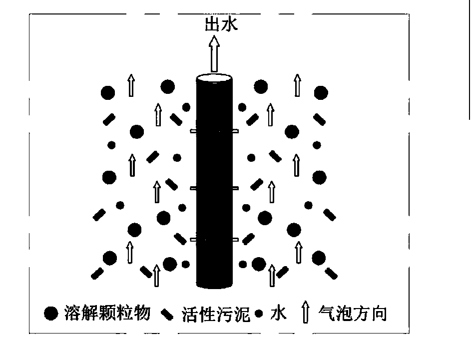 Three-effect fused rural ecological sewage treatment system and three-effect fused rural ecological sewage treatment method