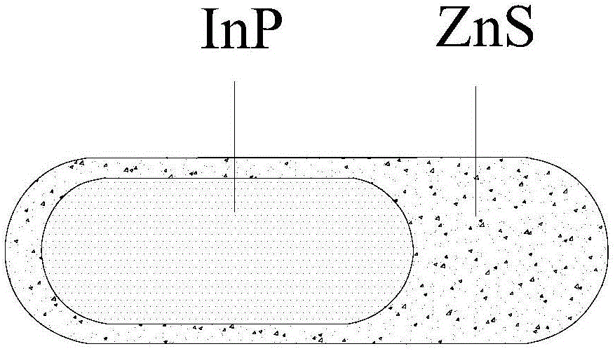 Preparation method of core-shell InP/ZnS nanorods