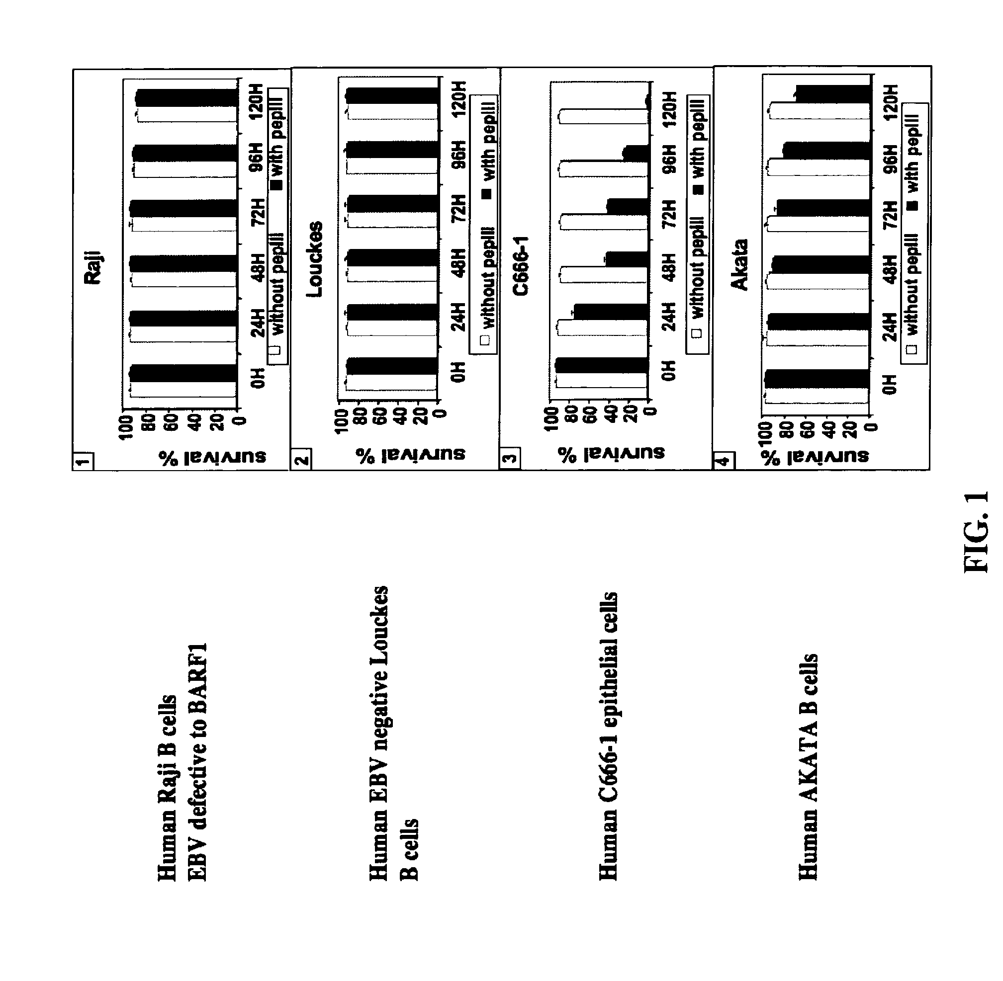 Pharmaceutical Compositions Comprising Antibodies Binding To EBV (Ebstein-Barr Virus) Protein BARF1