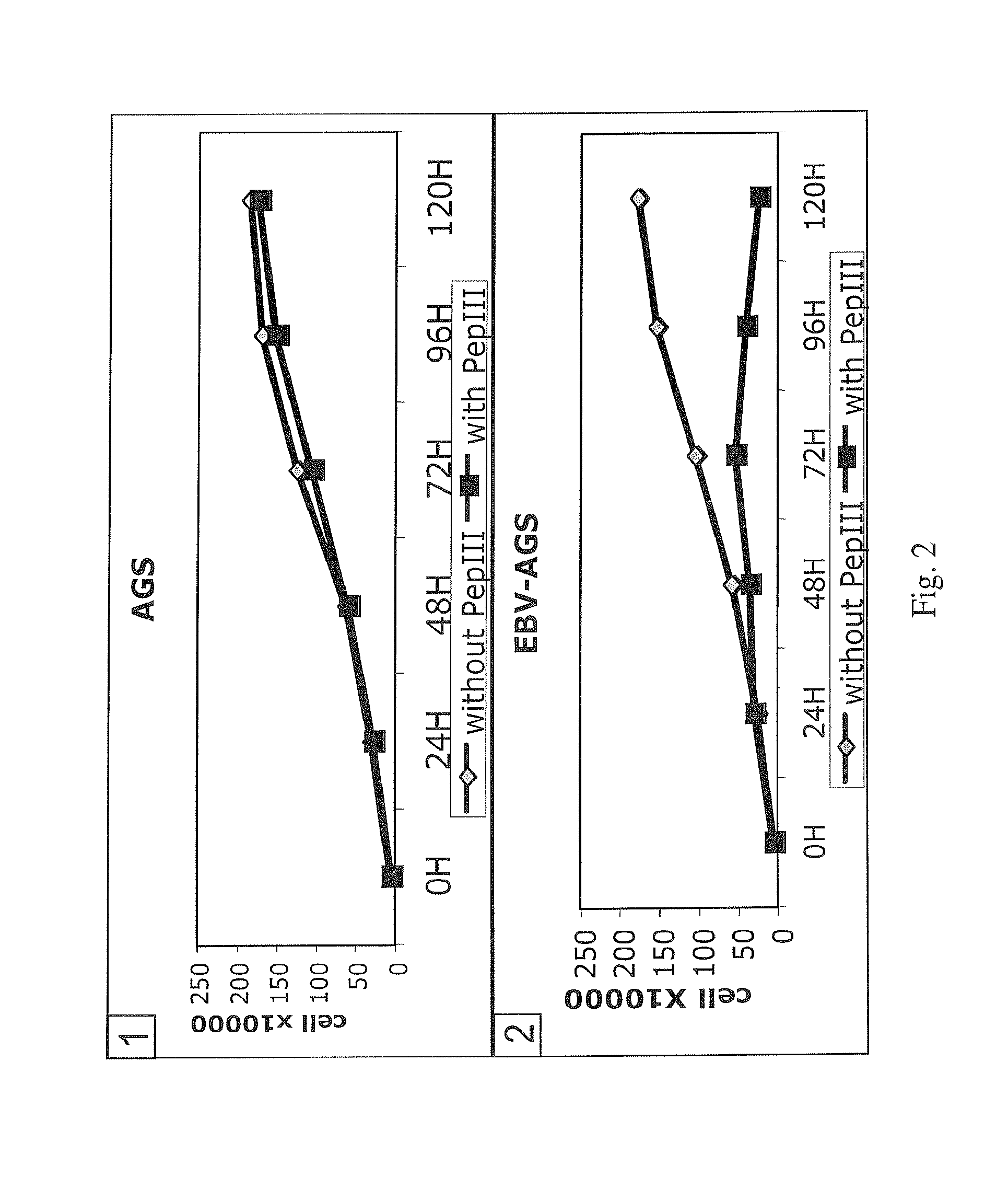 Pharmaceutical Compositions Comprising Antibodies Binding To EBV (Ebstein-Barr Virus) Protein BARF1