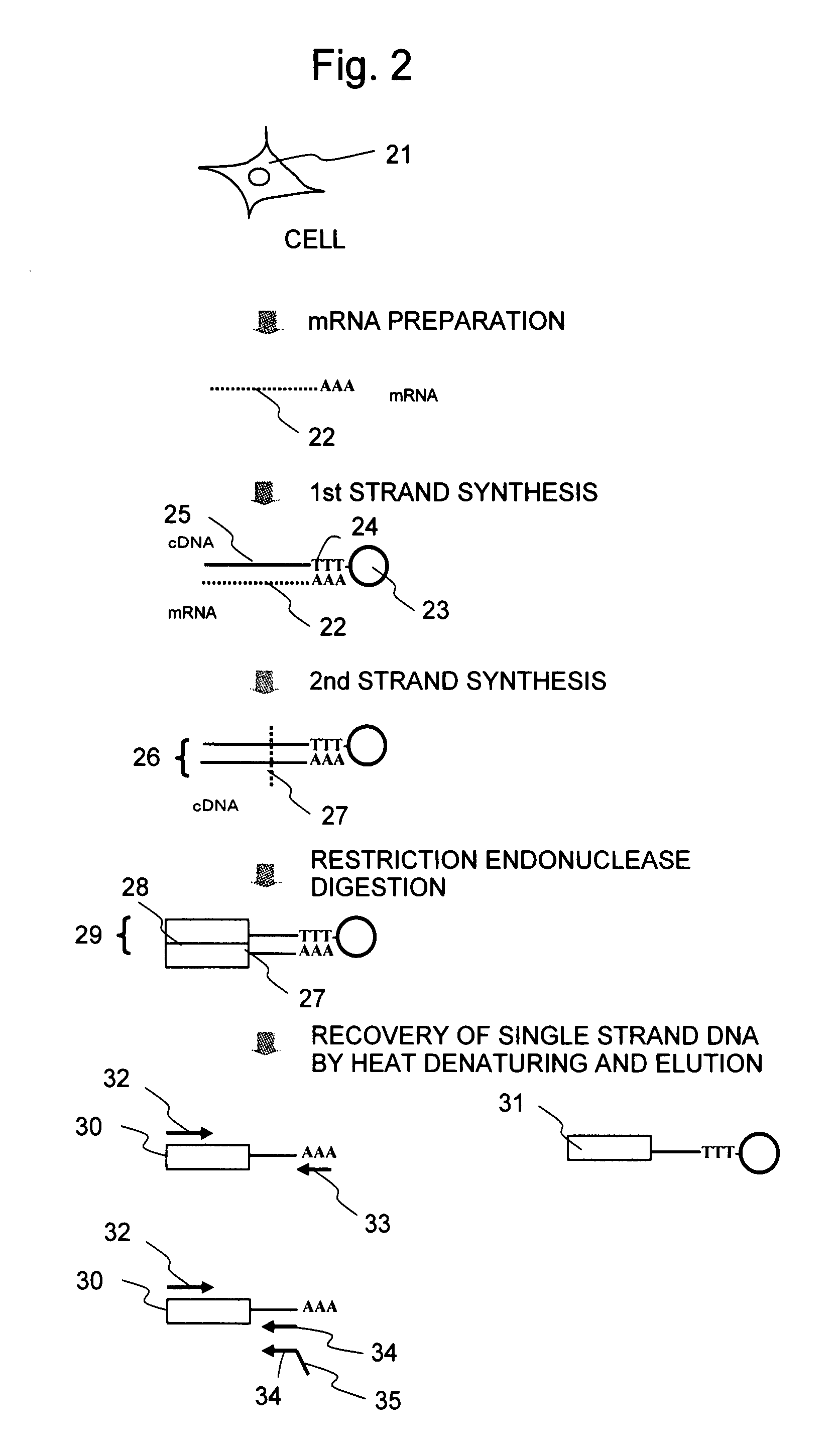 Method and apparatus for sample preparation
