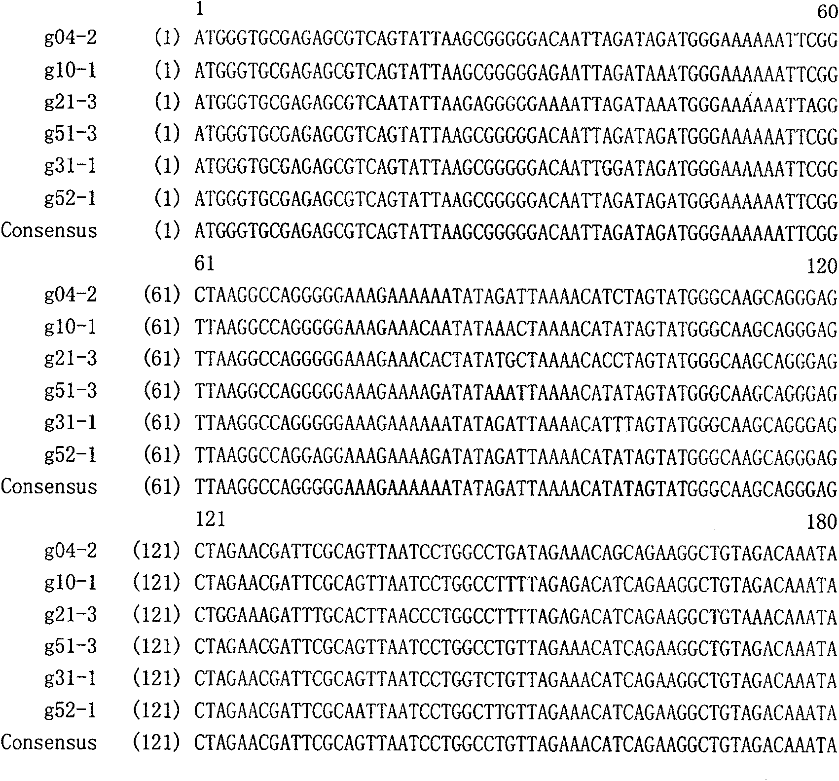 Reconstruction of HIV-1 Chinese epidemic strain gag gene and recombination DNA vaccine thereof