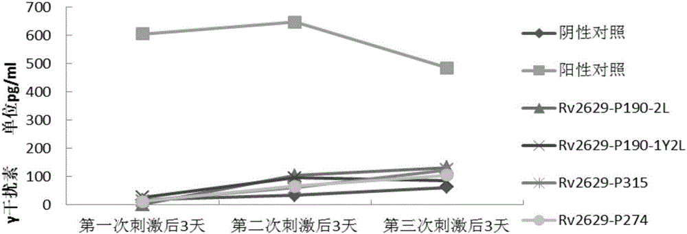 Mycobacterium tuberculosis specificity CTL epitope peptides and application thereof