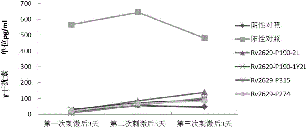 Mycobacterium tuberculosis specificity CTL epitope peptides and application thereof