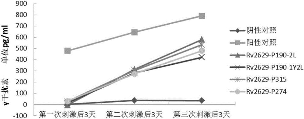 Mycobacterium tuberculosis specificity CTL epitope peptides and application thereof