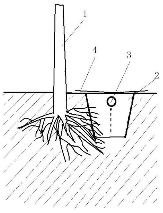 A kind of labor-saving cultivation method of apple fertilizer and water intensive