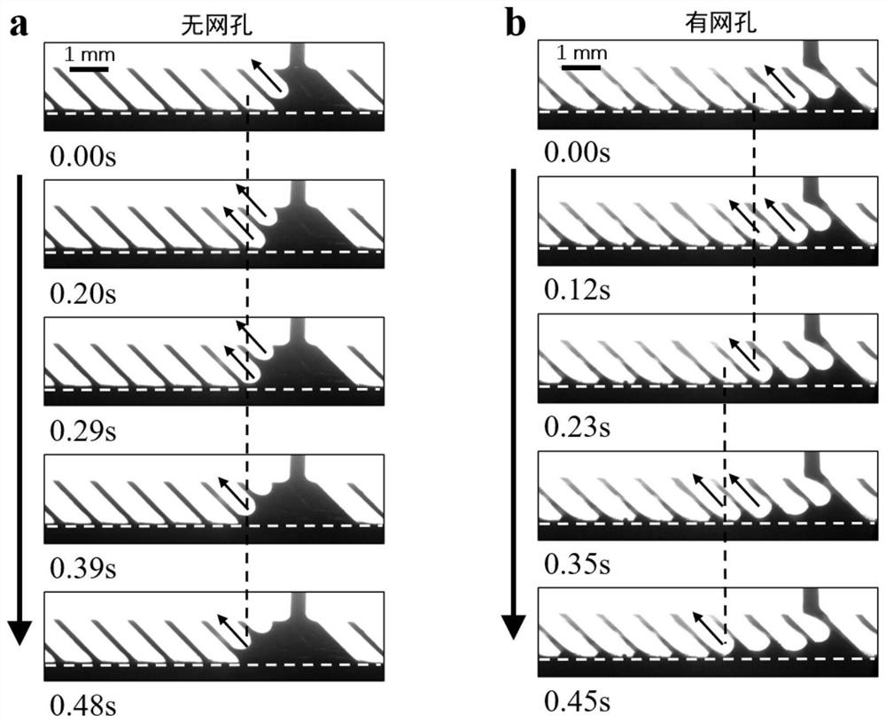 Design method and application of three-dimensional porous inclined array structure for directional transportation of liquid