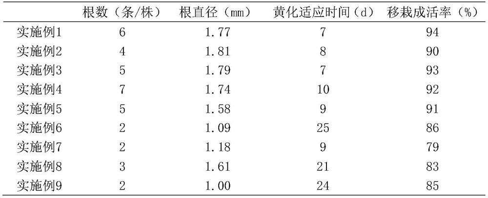 Dendrobium officinale rapid propagation tissue culture medium and preparation method thereof