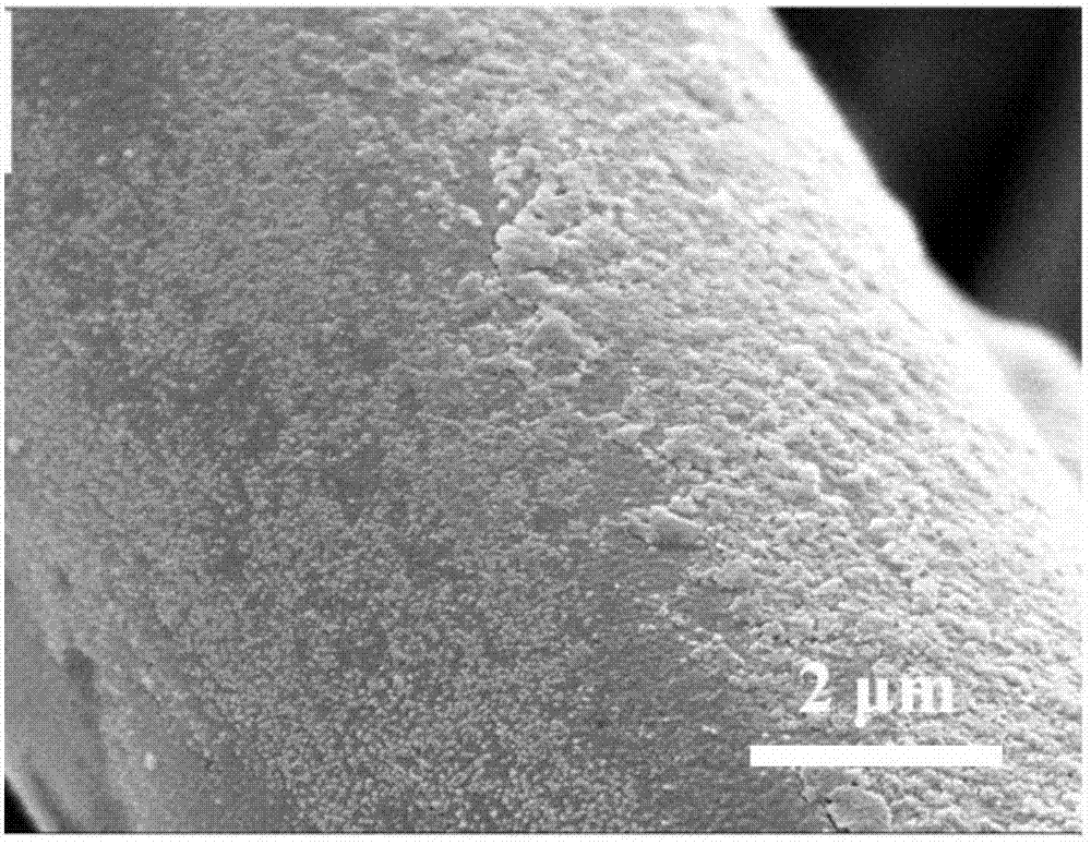 Organic-inorganic super-hydrophilic and underwater super-lipophobic fabric and preparation method and application thereof