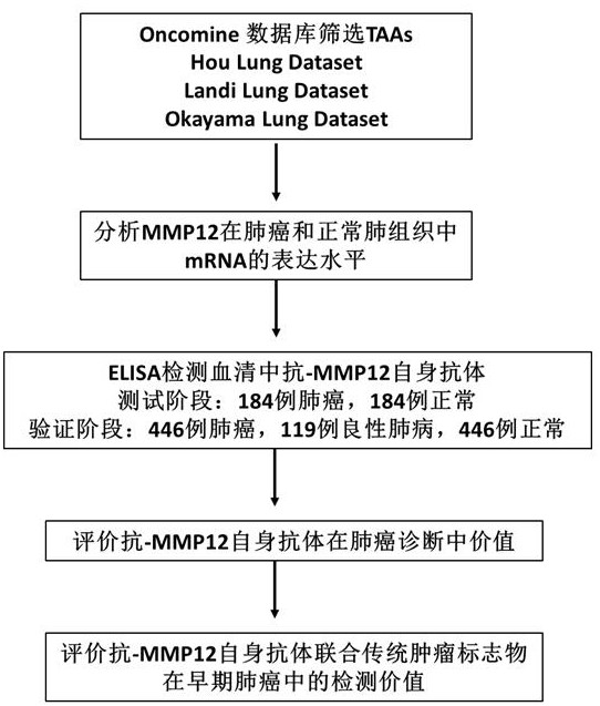 A kind of lung cancer marker anti-mmp12 autoantibody and its application