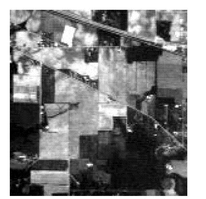Hyper-spectral remote sensing image classifying method based on AdaBoost