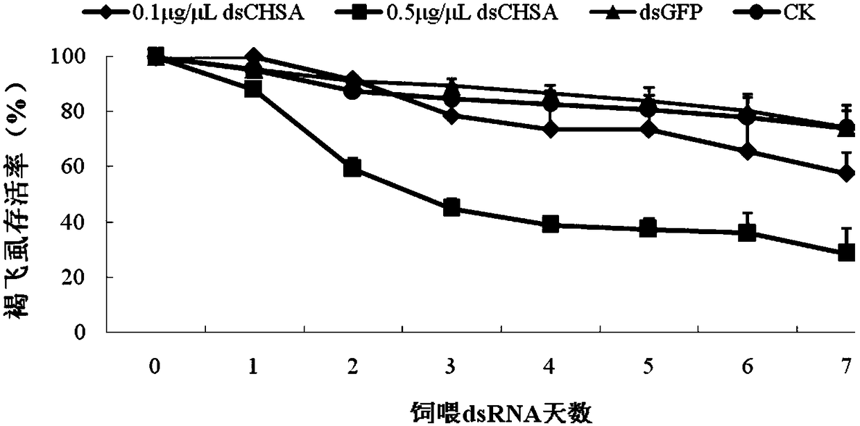 A kind of chitin synthesis inhibiting insecticide and its preparation method and application