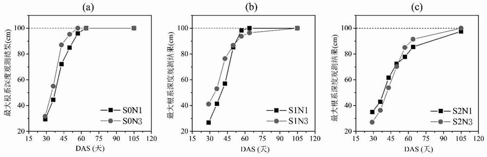 Construction method of sunflower dynamic root distribution model considering various salt and nitrogen levels