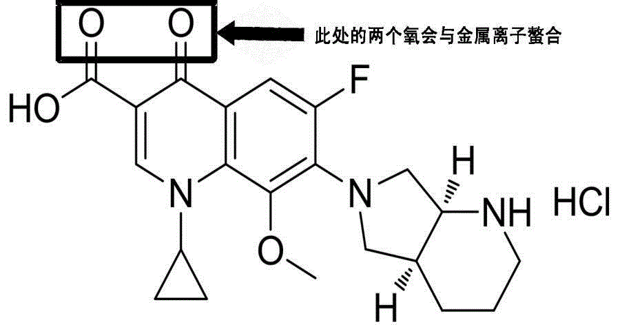 Moxifloxacin-containing pharmaceutical composition