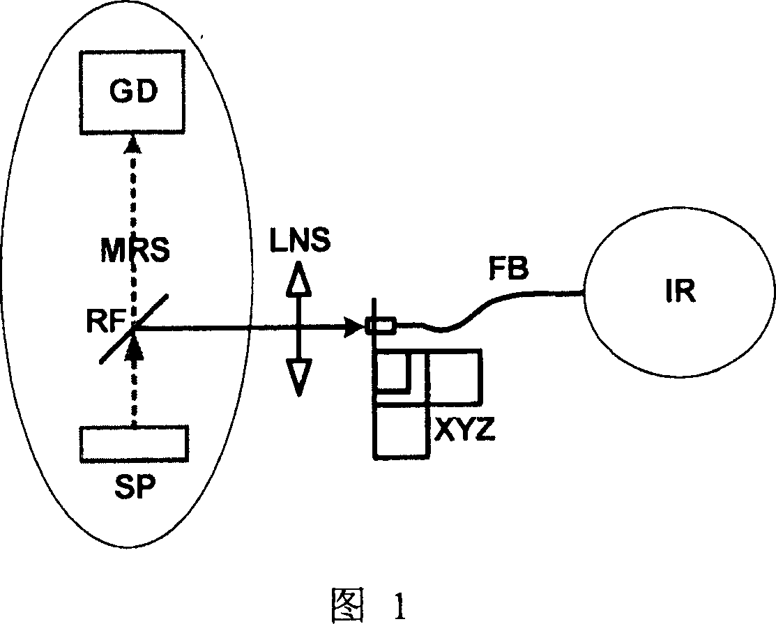 Combined test system of micro-Raman spectroscopy and near infrared spectrometer