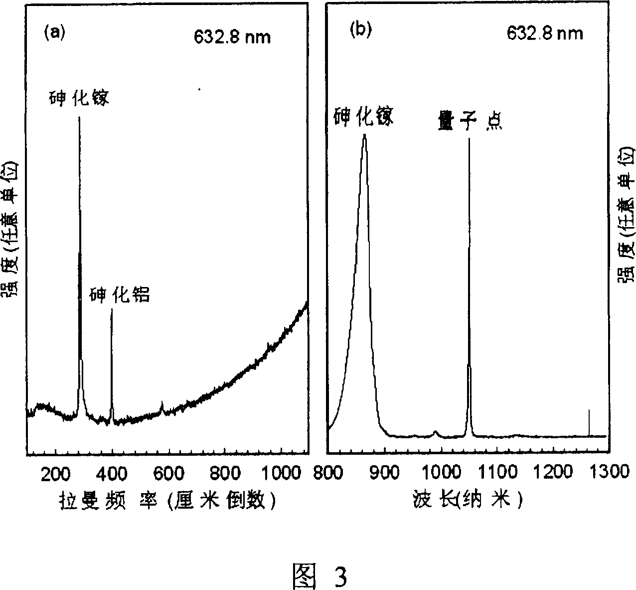Combined test system of micro-Raman spectroscopy and near infrared spectrometer