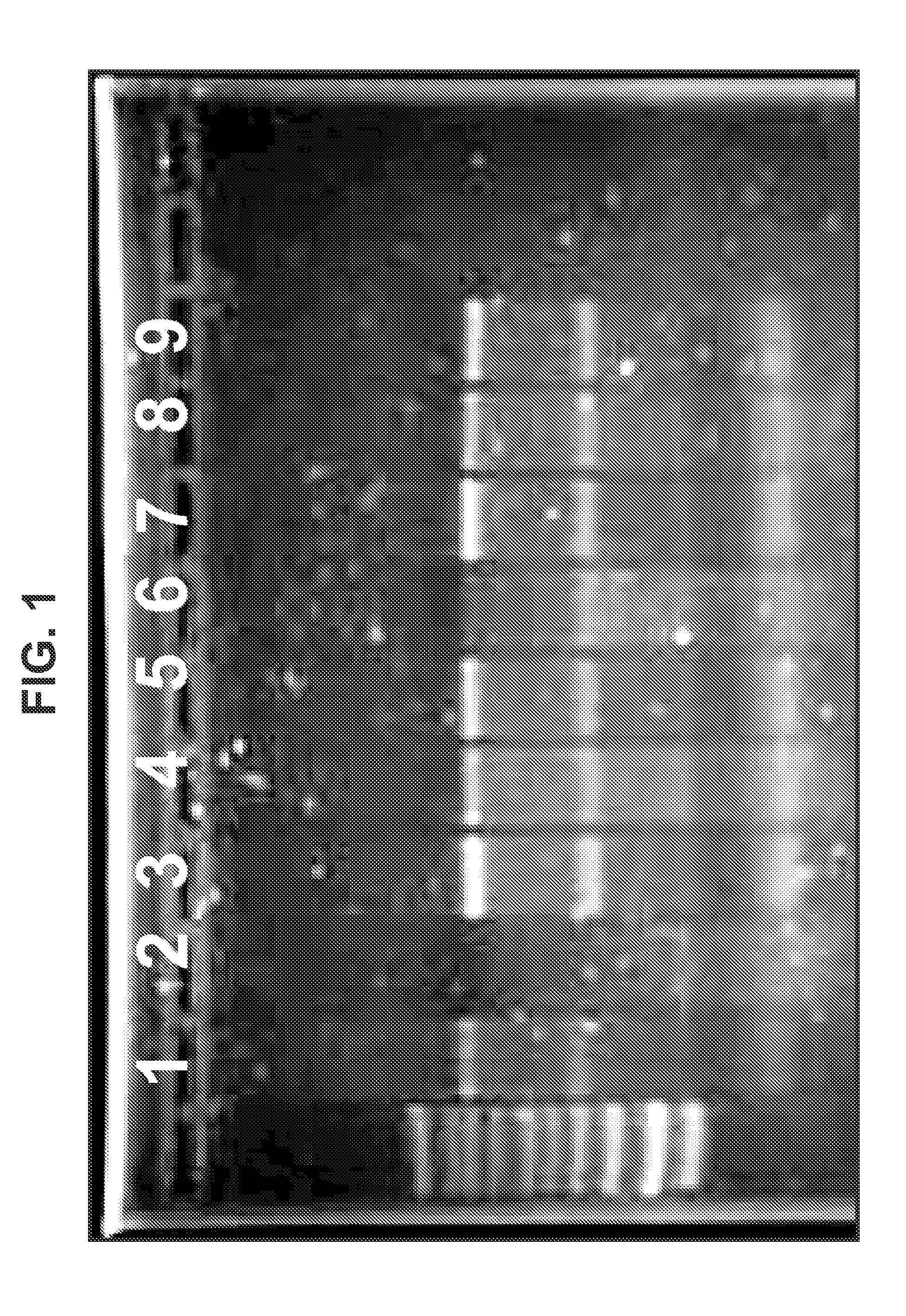 Cationic oil-in-water emulsions