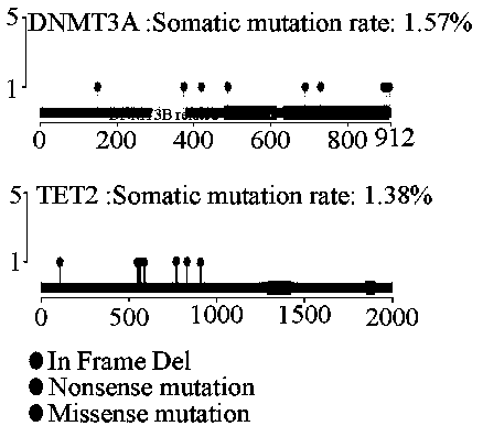 Biomarker for monitoring and therapeutic effect evaluation of head and neck cancer