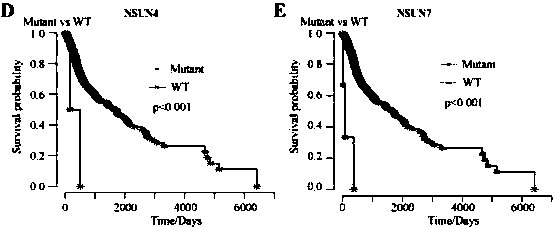 Biomarker for monitoring and therapeutic effect evaluation of head and neck cancer