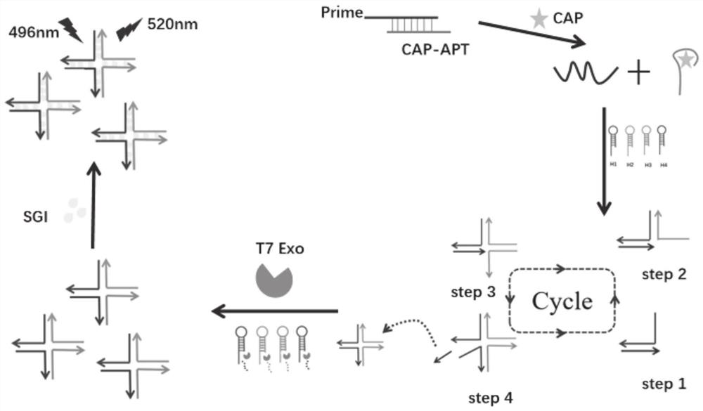 Non-labeled aptamer probe system and detection method and application thereof