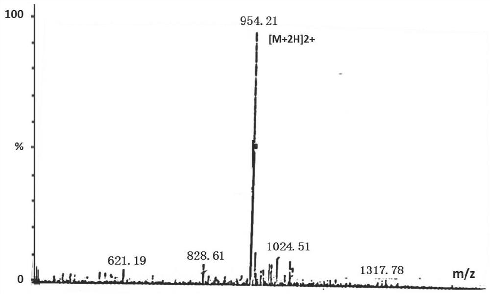 A fluorescent polypeptide substrate for detecting human gelatinase mmp-2 and its application