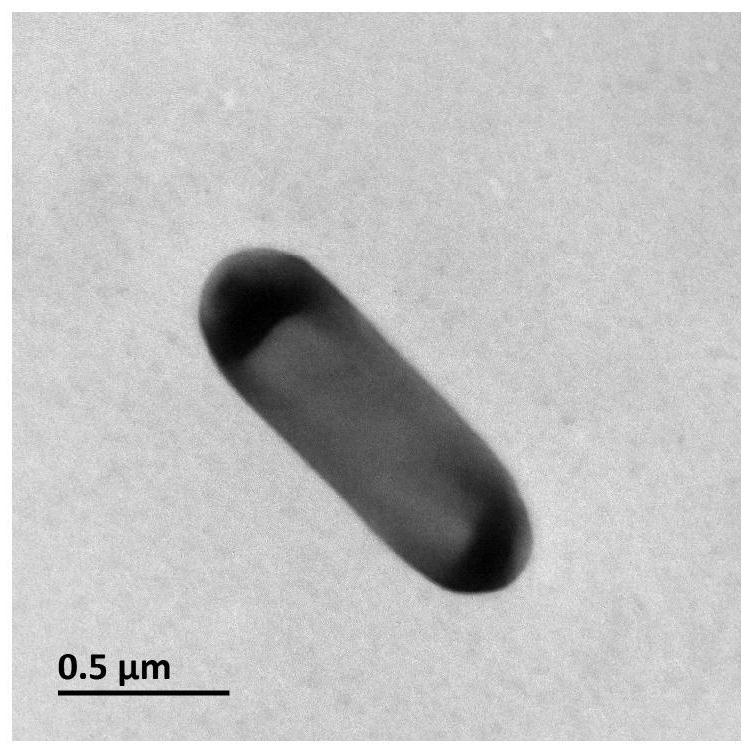 A strain of Paleobacter zjutcb-1 that efficiently degrades chlorobenzene and its application