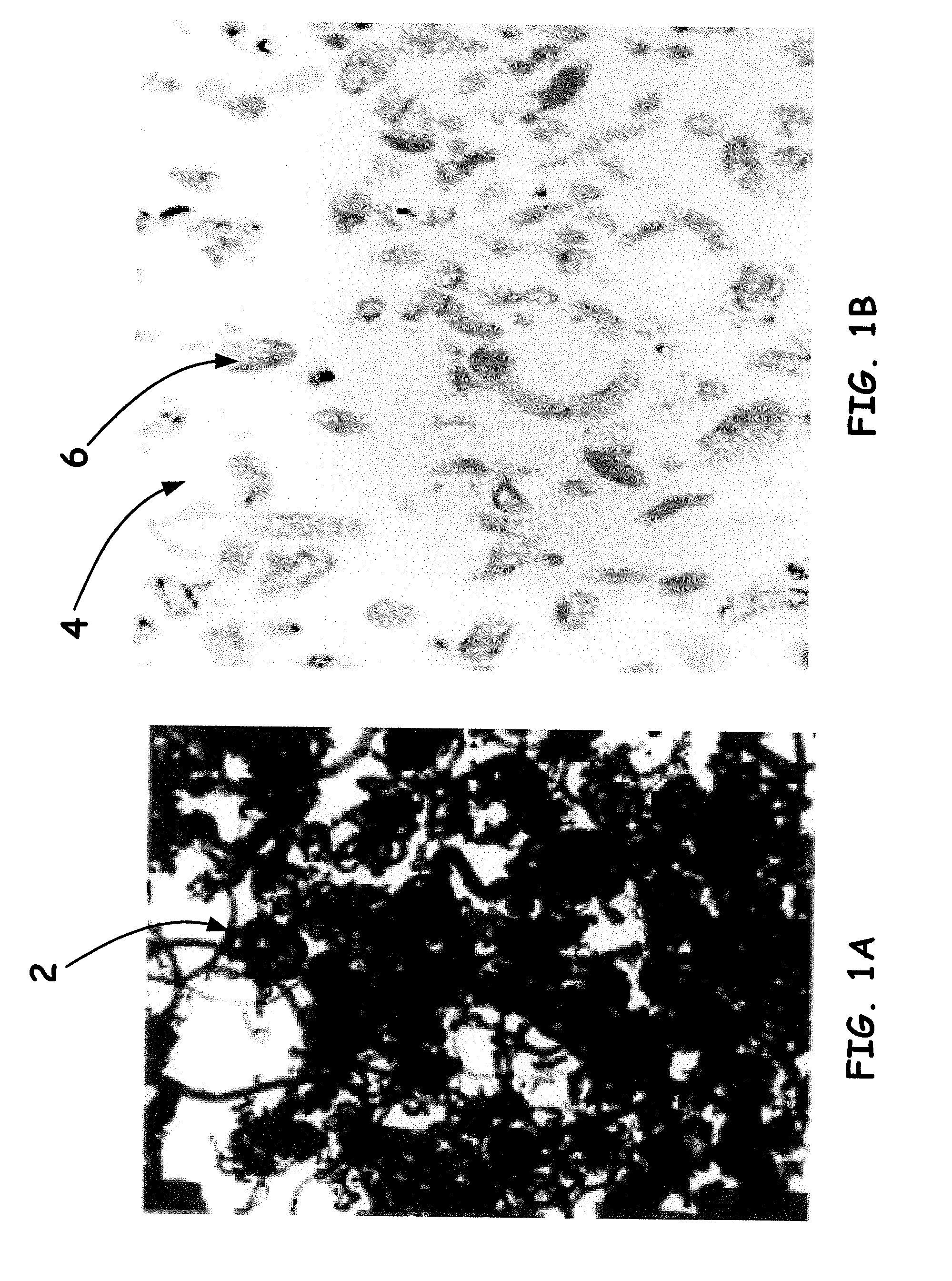 Method for conversion of dry nanomaterials into liquid nano-agents for fabrication of polymer nanocomposites and fiber reinforced composites