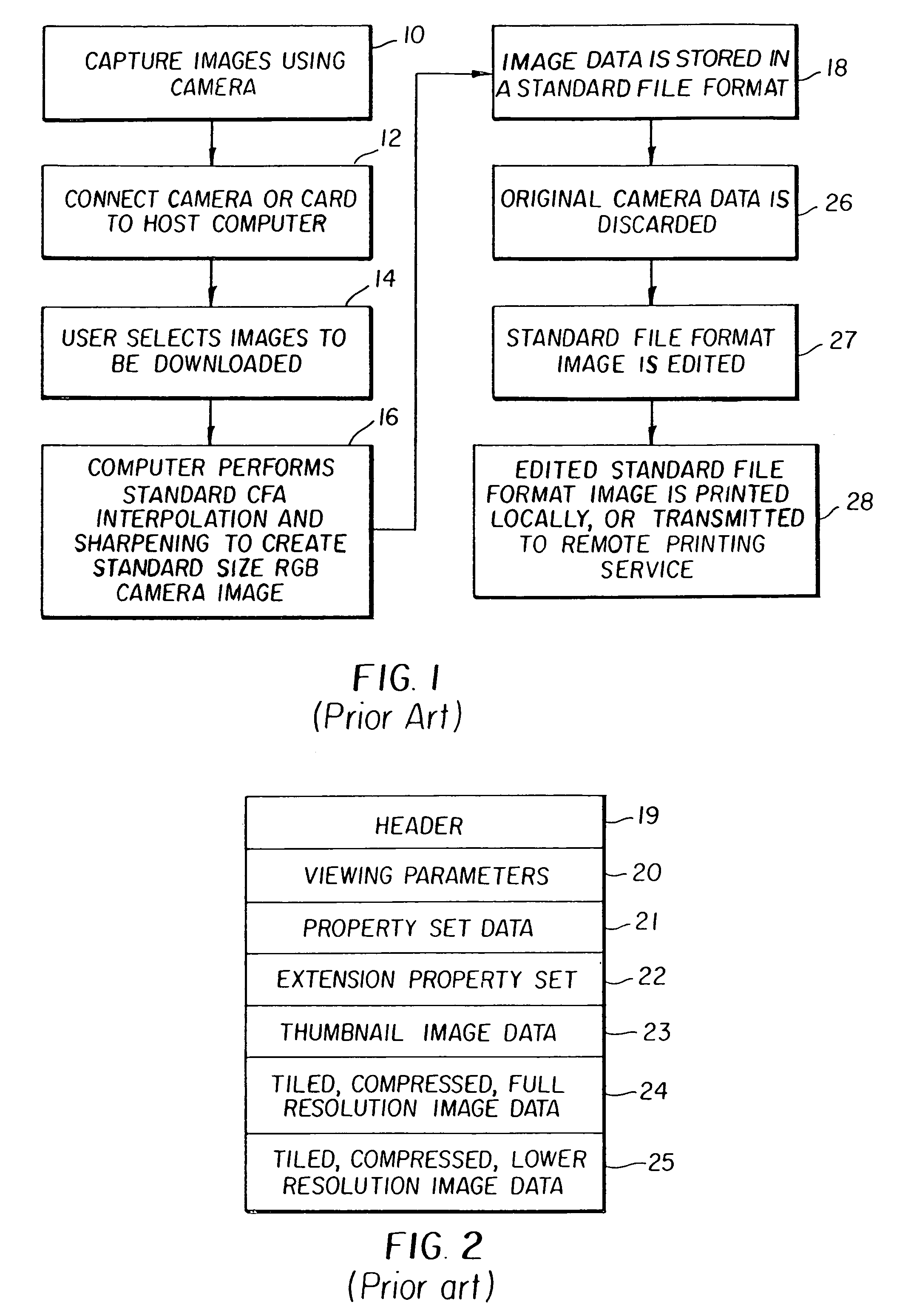 Electronic image capture device and image file format providing raw and processed image data