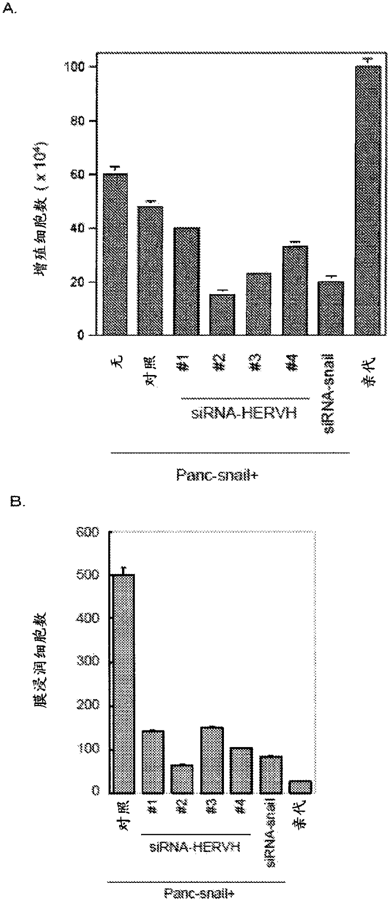 Diagnosis method and therapeutic method for cancer