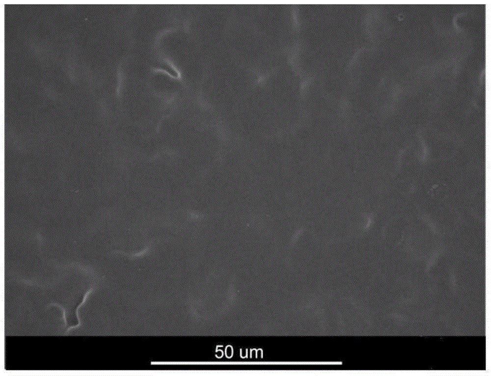 Method for making palladium film on surface of macro-porous carrier