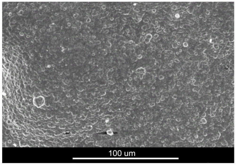 Method for making palladium film on surface of macro-porous carrier