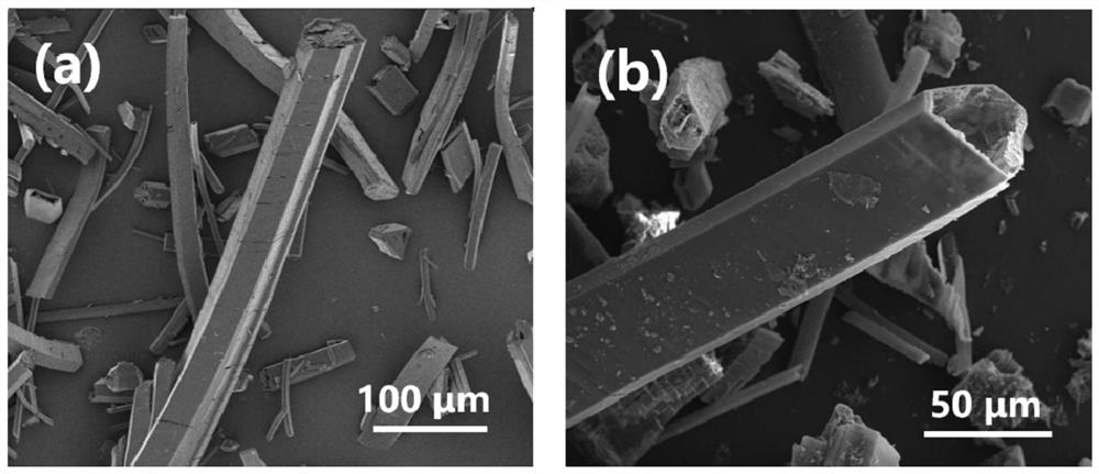 Method for treating harmful algae through photocatalysis