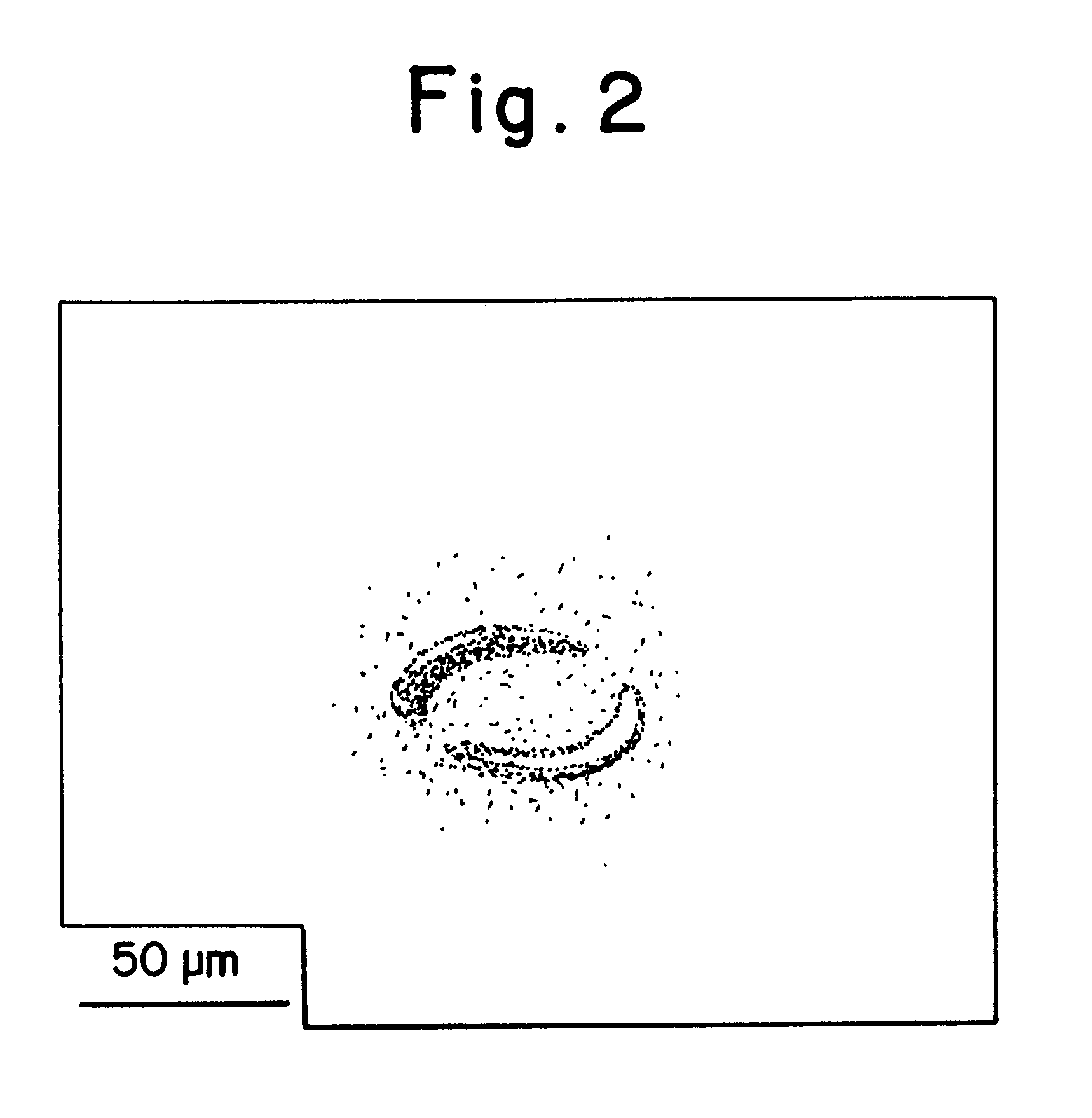 Hydrous pellets of ethylene-vinyl acetate copolymer hydrolyzate, production thereof and moldings from such hydrous pellets