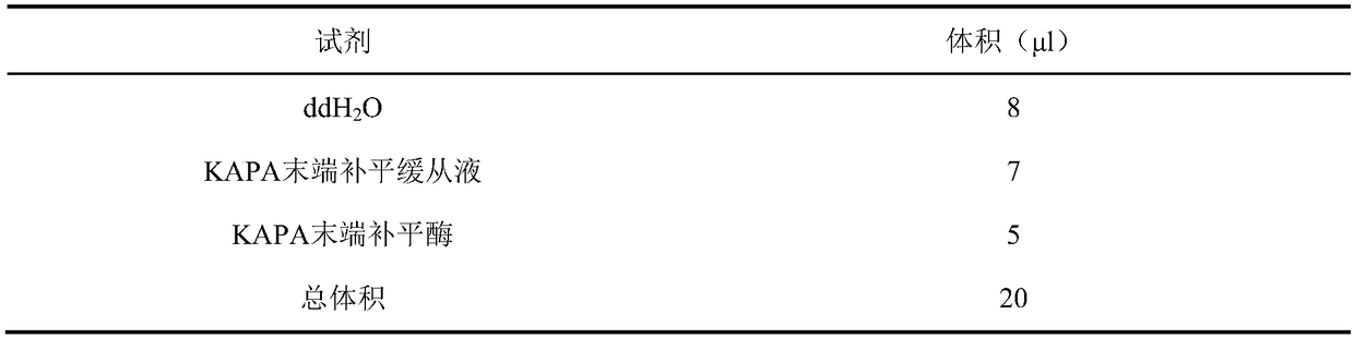 Gene probe composition for detecting idiopathic epilepsy, kit and applications