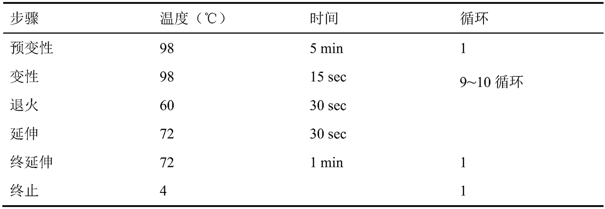 Gene probe composition for detecting idiopathic epilepsy, kit and applications