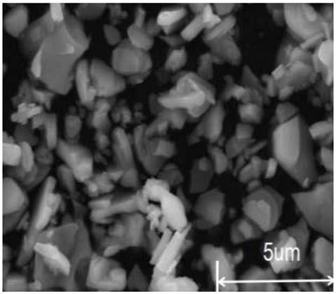 Flower-like Y-shaped hexagonal ferrite-manganese dioxide nano-powder and preparation method thereof