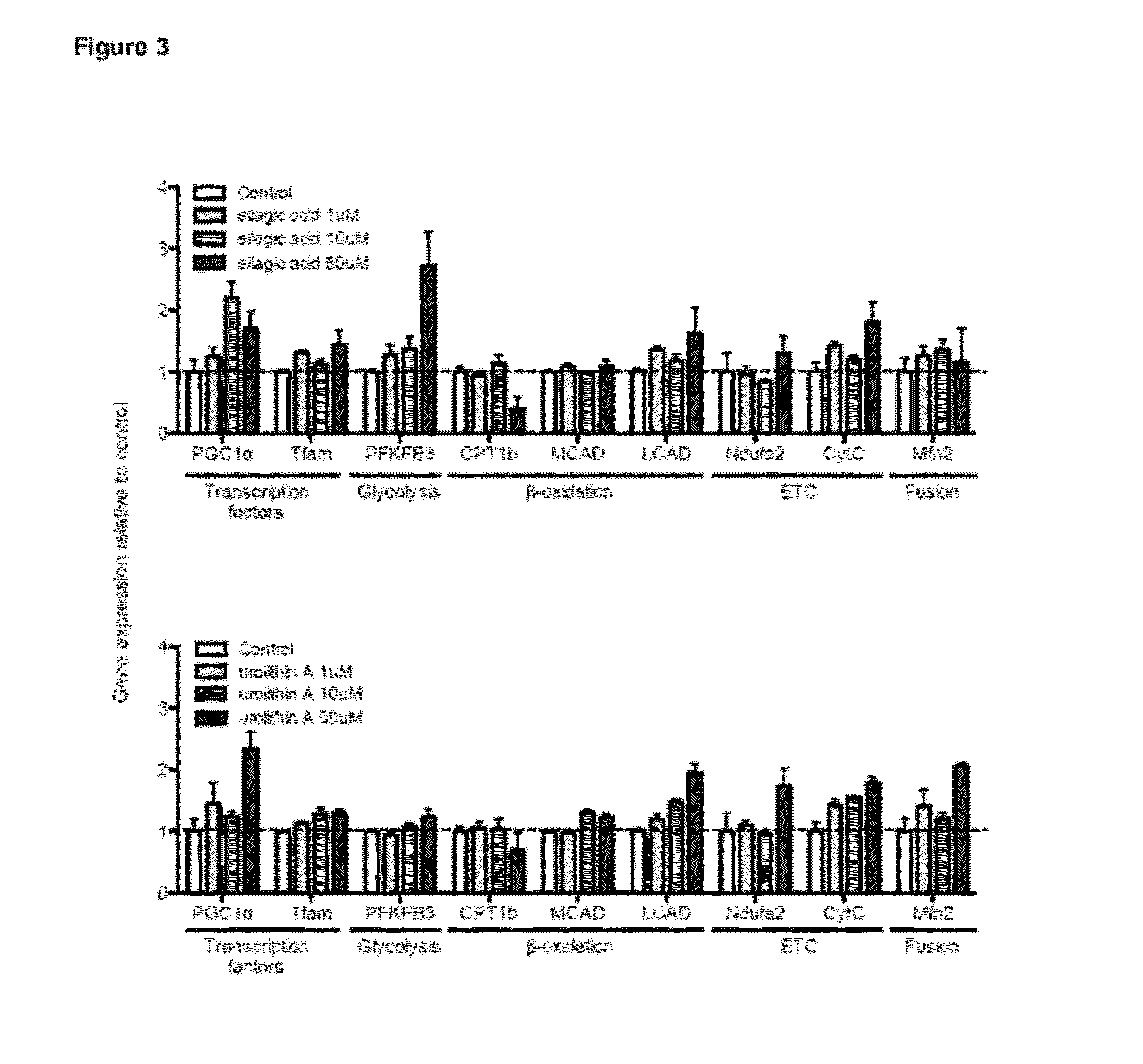 Compositions and Methods for Improving Mitochondrial Function and Treating Neurodegenerative Diseases and Cognitive Disorders