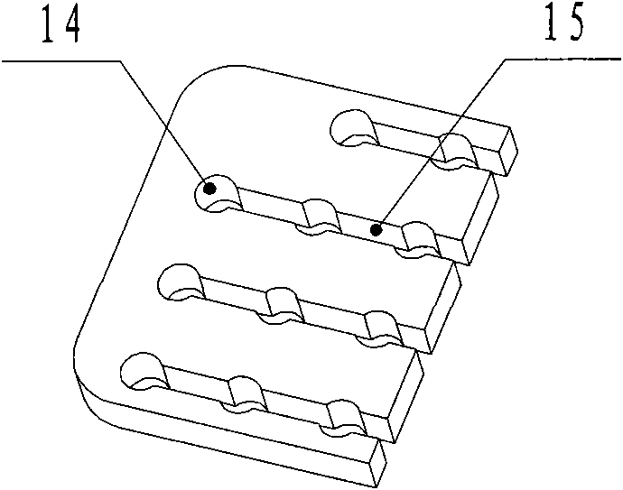 Multi-fiber connector and method for fixing aramid fibers of fibers connected thereto