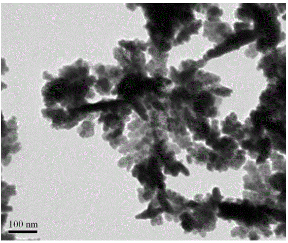 A kind of preparation method of dendritic copper sulfide microcrystal