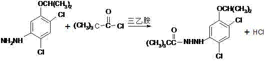 Preparation method of 2,4-dichloro-5-isopropoxy aniline salt