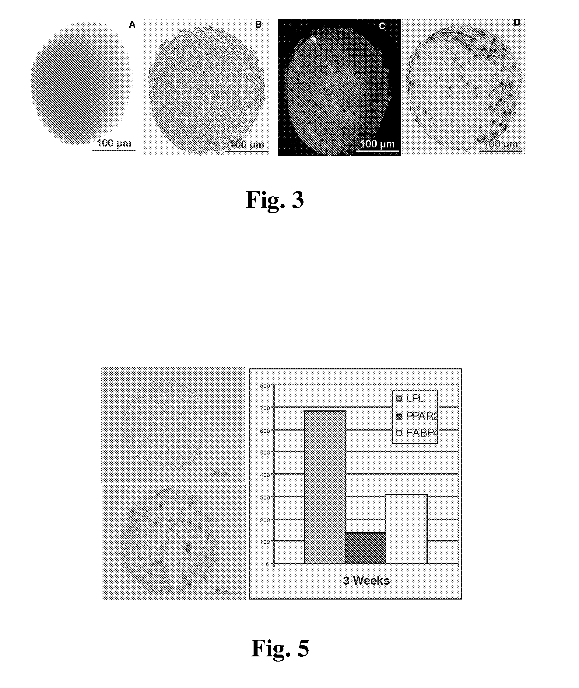 Compositions and methods for modular soft tissue repair