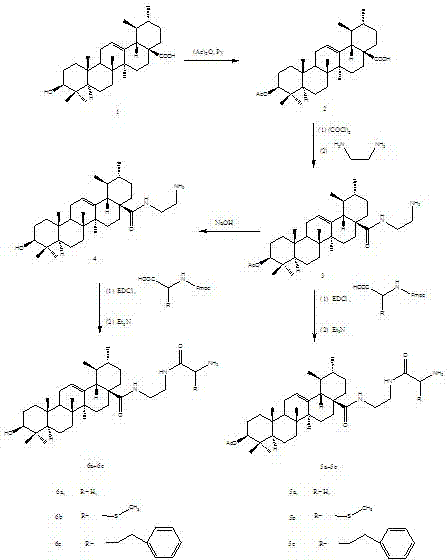 Ursolic acid derivatives with anticancer activity and preparation method thereof