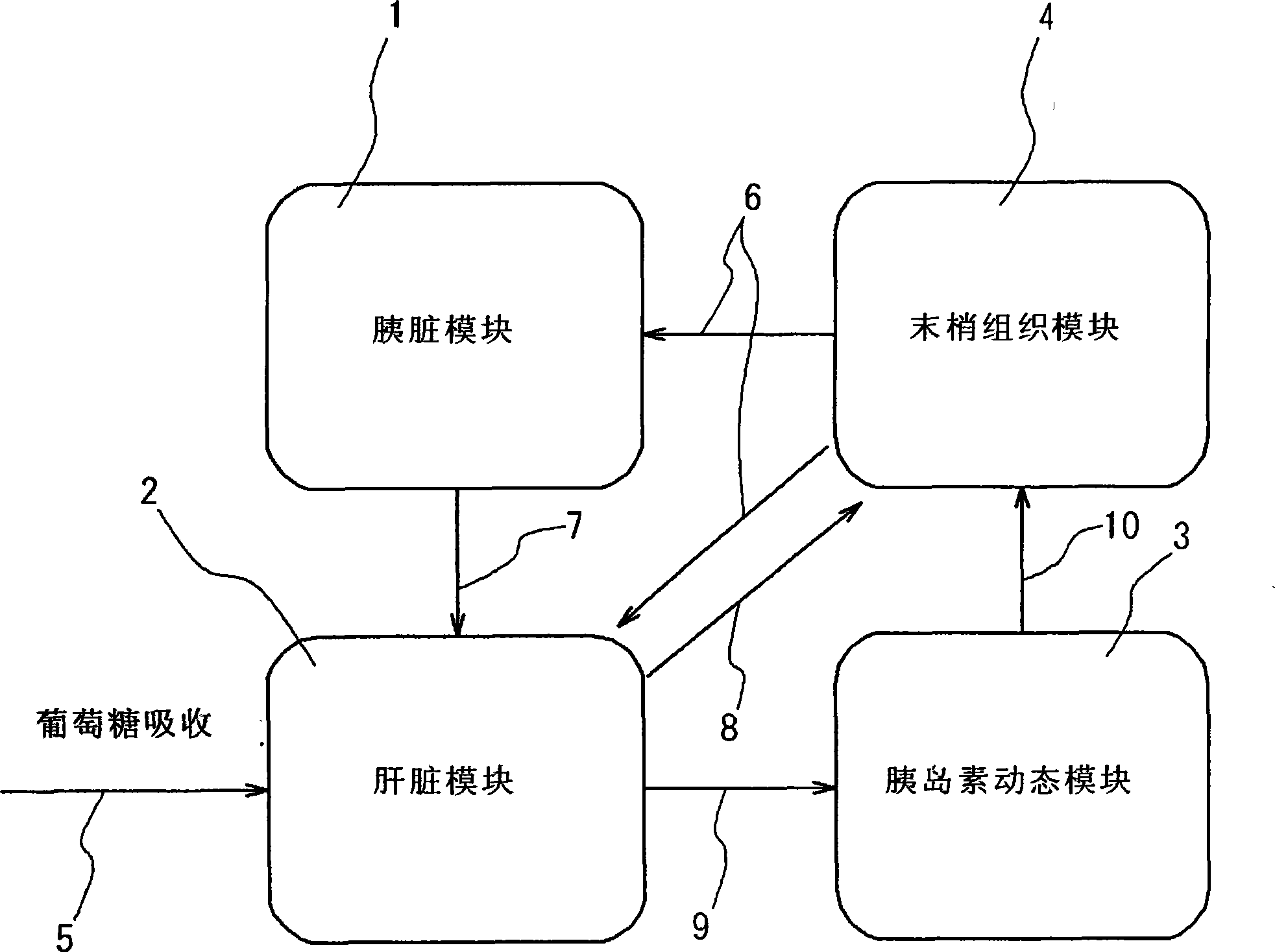 Simulation system of function of biological organ