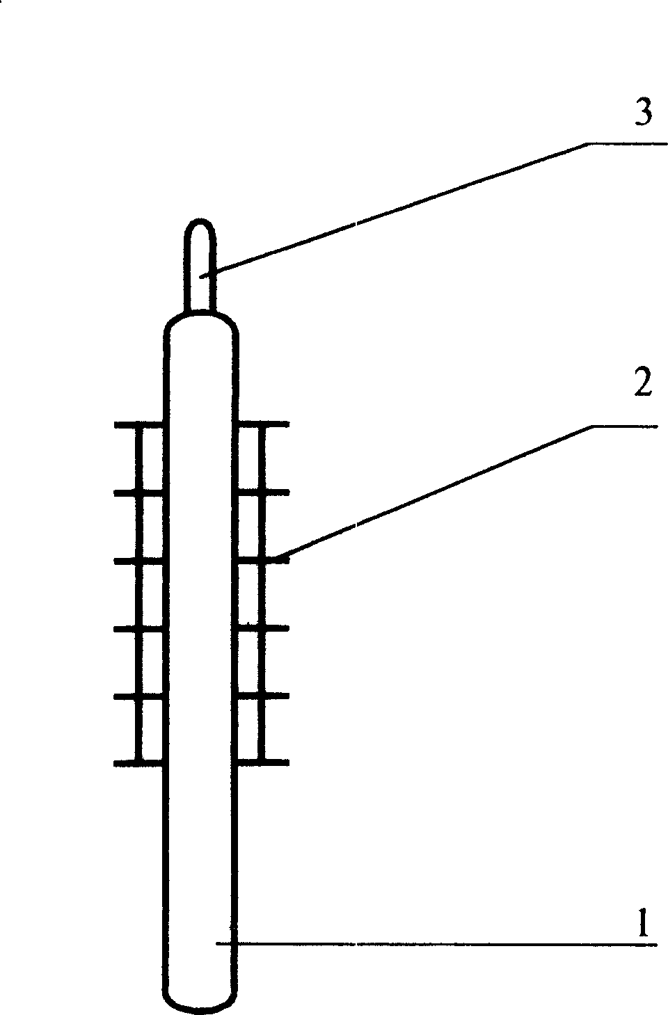 Roasted composite food and its production method