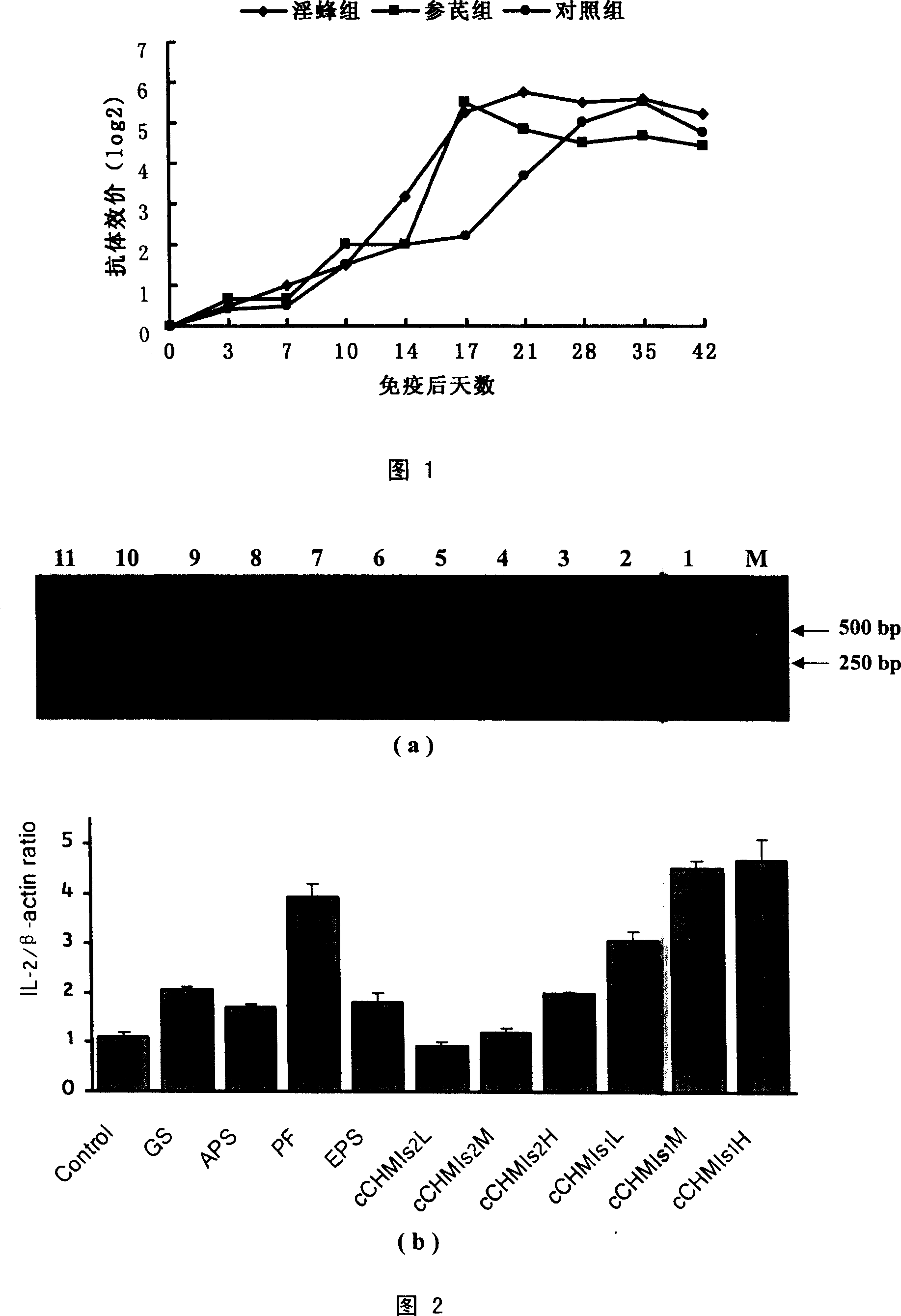 Compound ginseng-astragalus immunopotentiator